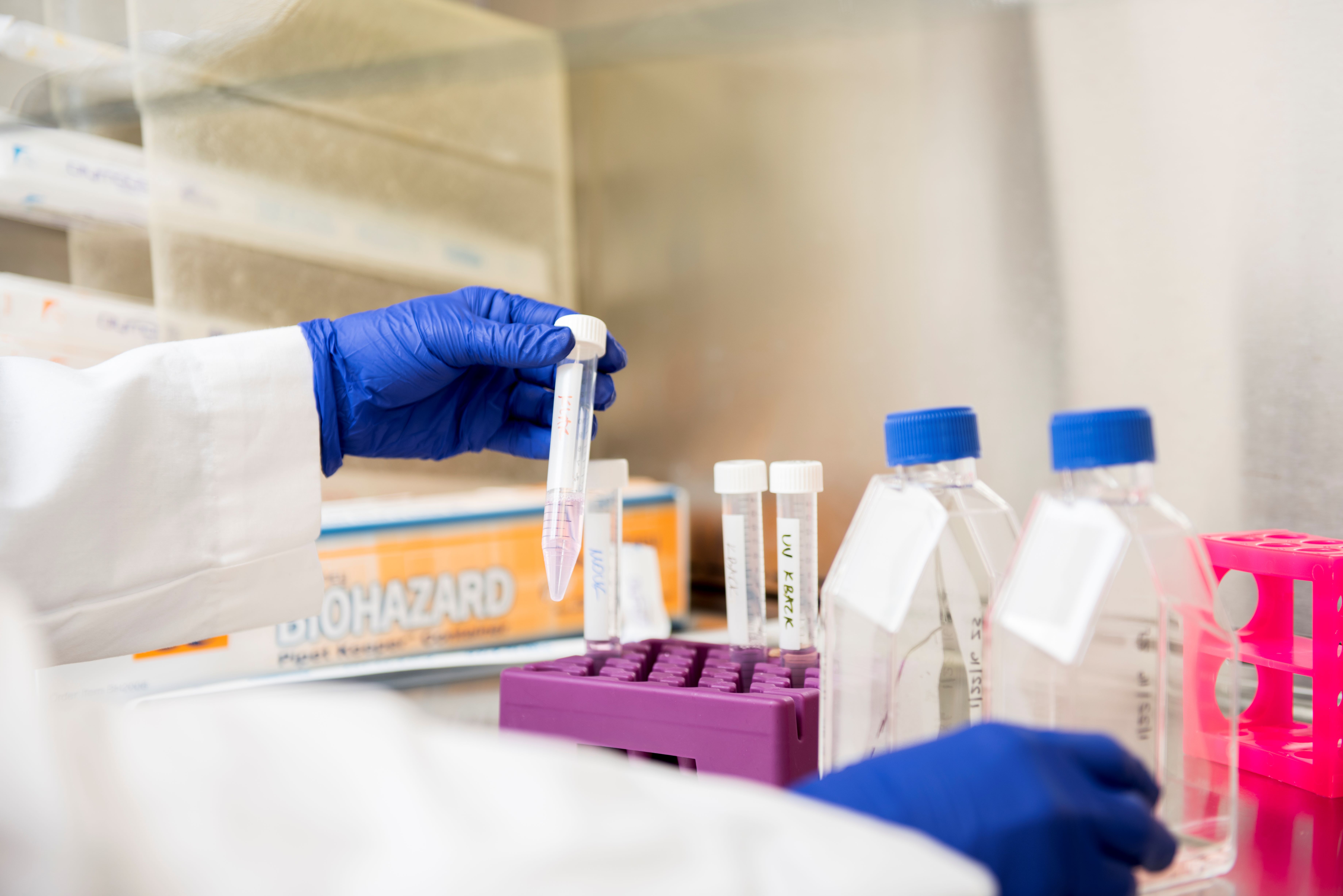 Gloved hands working inside a biosafety cabinet