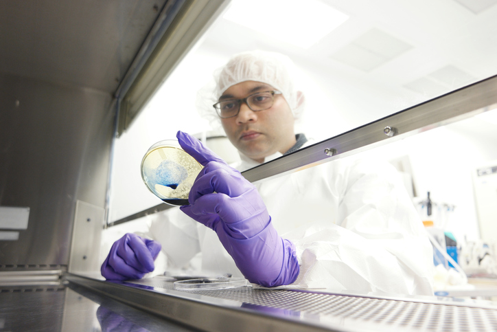 researcher working in a biosafety cabinet